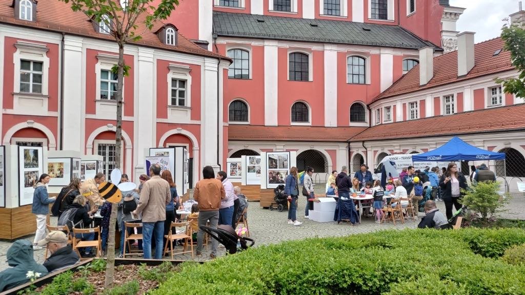 Na zdjęciu tłumy ludzi przy stoiskach przed budynkiem urzędu miasta