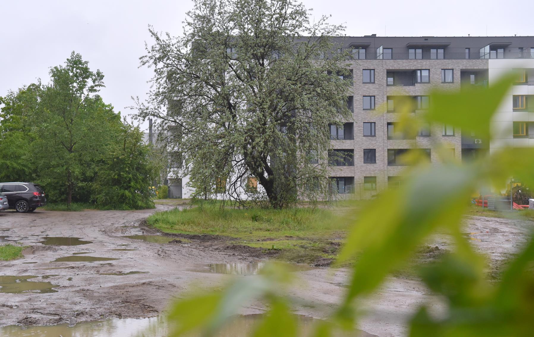 Na zdjęciu plac, na którym ma powstać park, w tle widać blok - grafika rozmowy