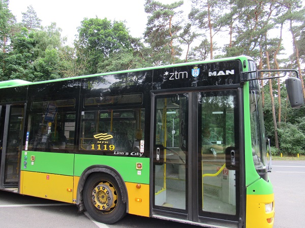 Autobus na Strzeszynie - grafika rozmowy