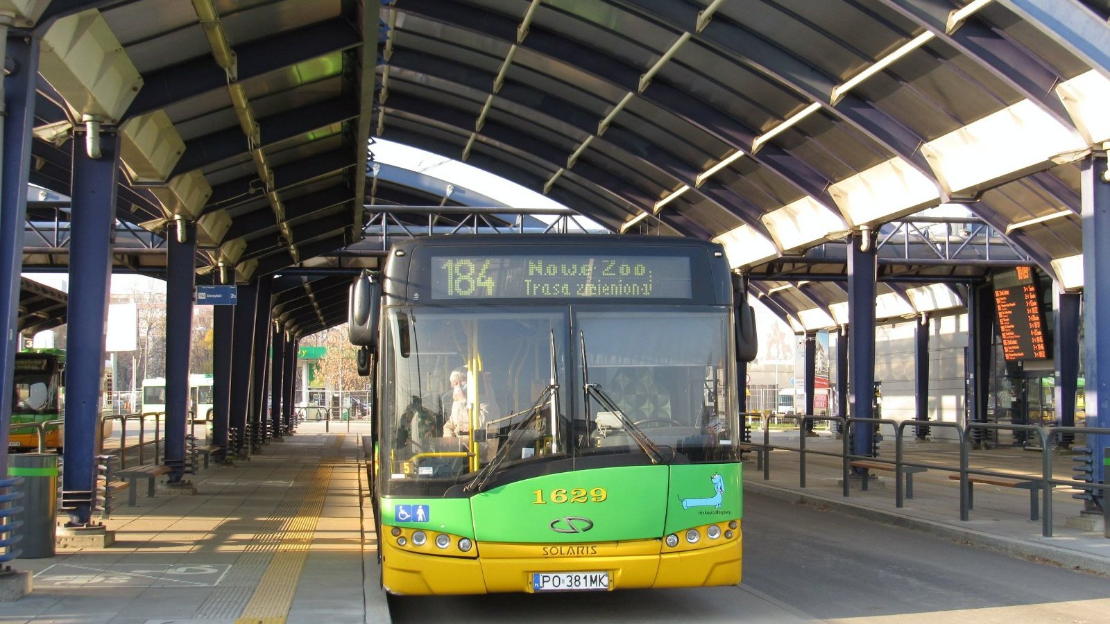 Autobus linii 184