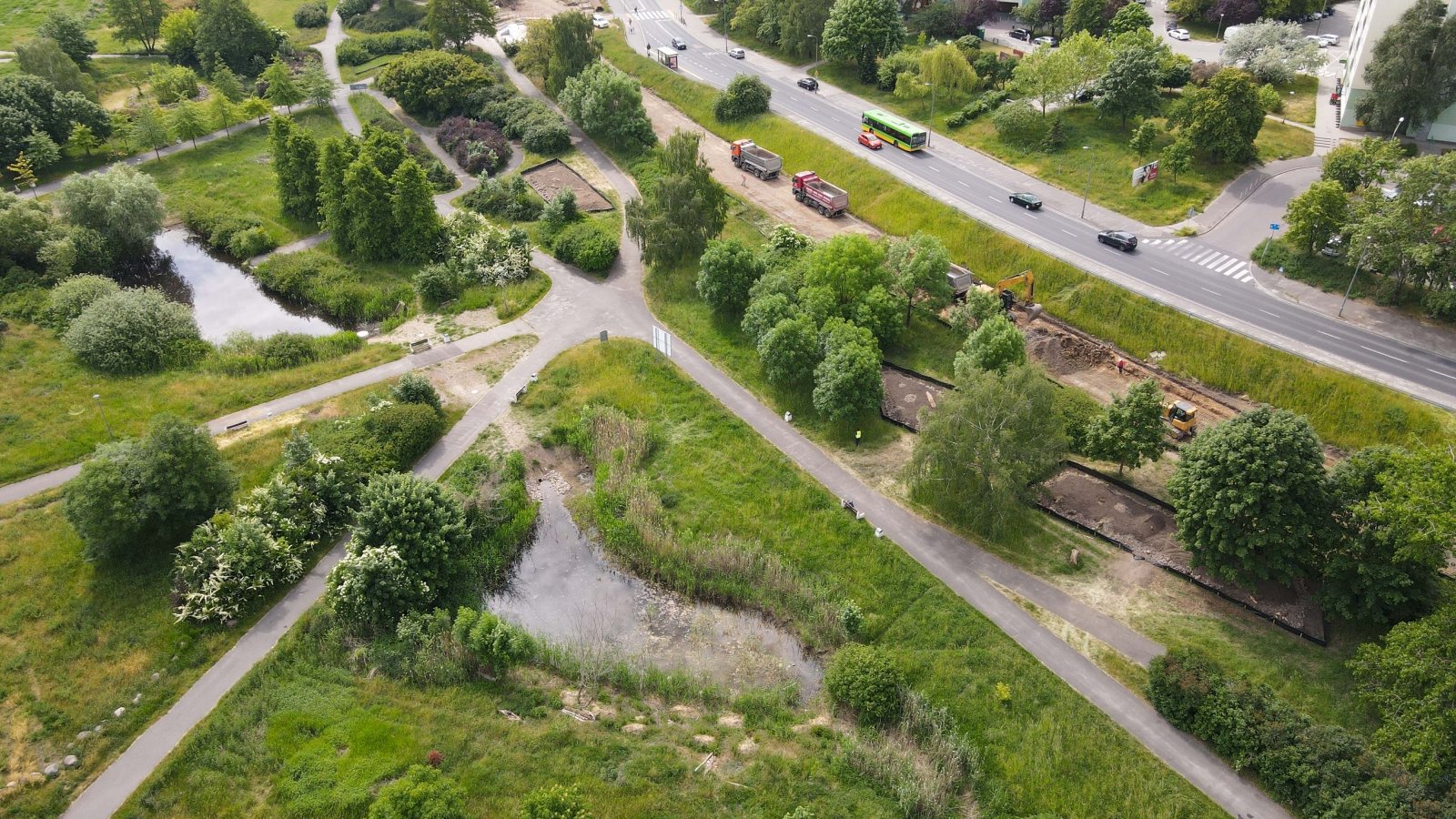 Galeria zdjęć z budowy nowych siedlisk dla traszek