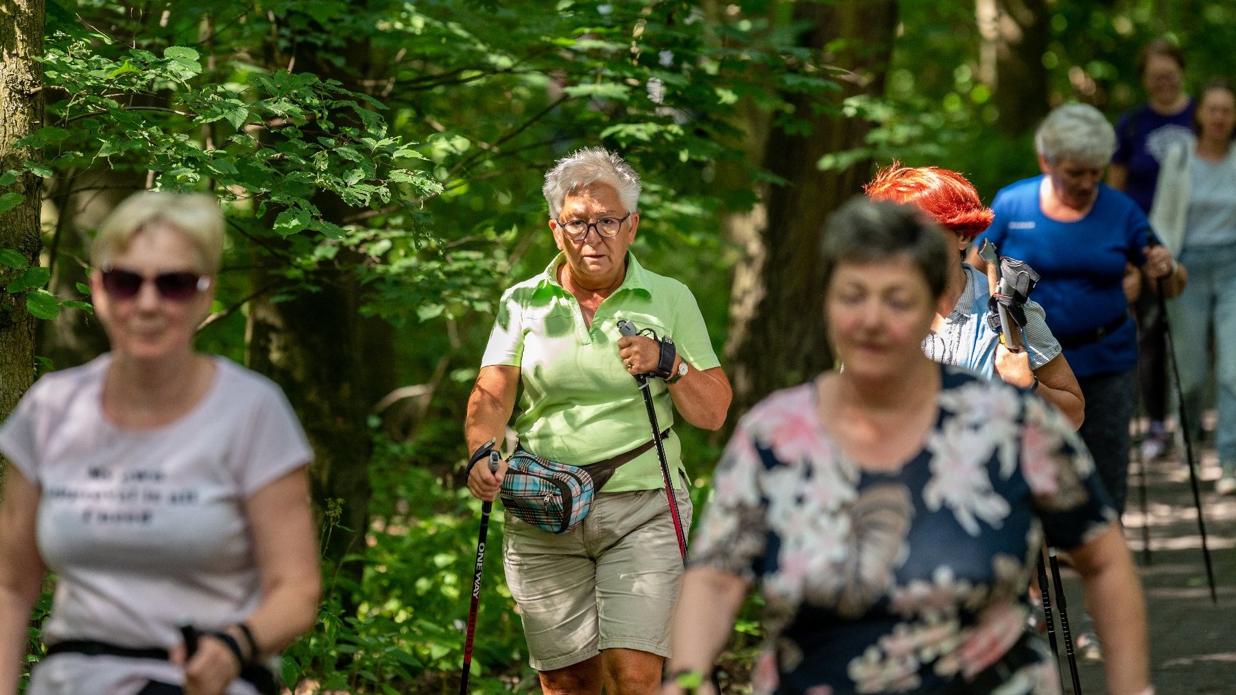 Galeria zdjęć przedstawia grupę seniorów w strojach sportowych z kijkami do nordic walking.