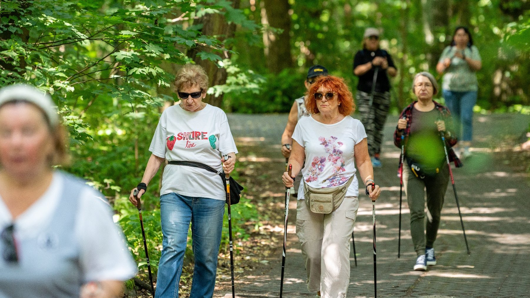 Galeria zdjęć przedstawia grupę seniorów w strojach sportowych z kijkami do nordic walking.