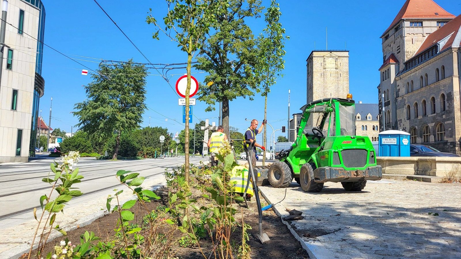 Galeria zdjęć z nowych nasadzeń w rejonie ul. Św. Marcin, Towarowej i al. Niepodległości