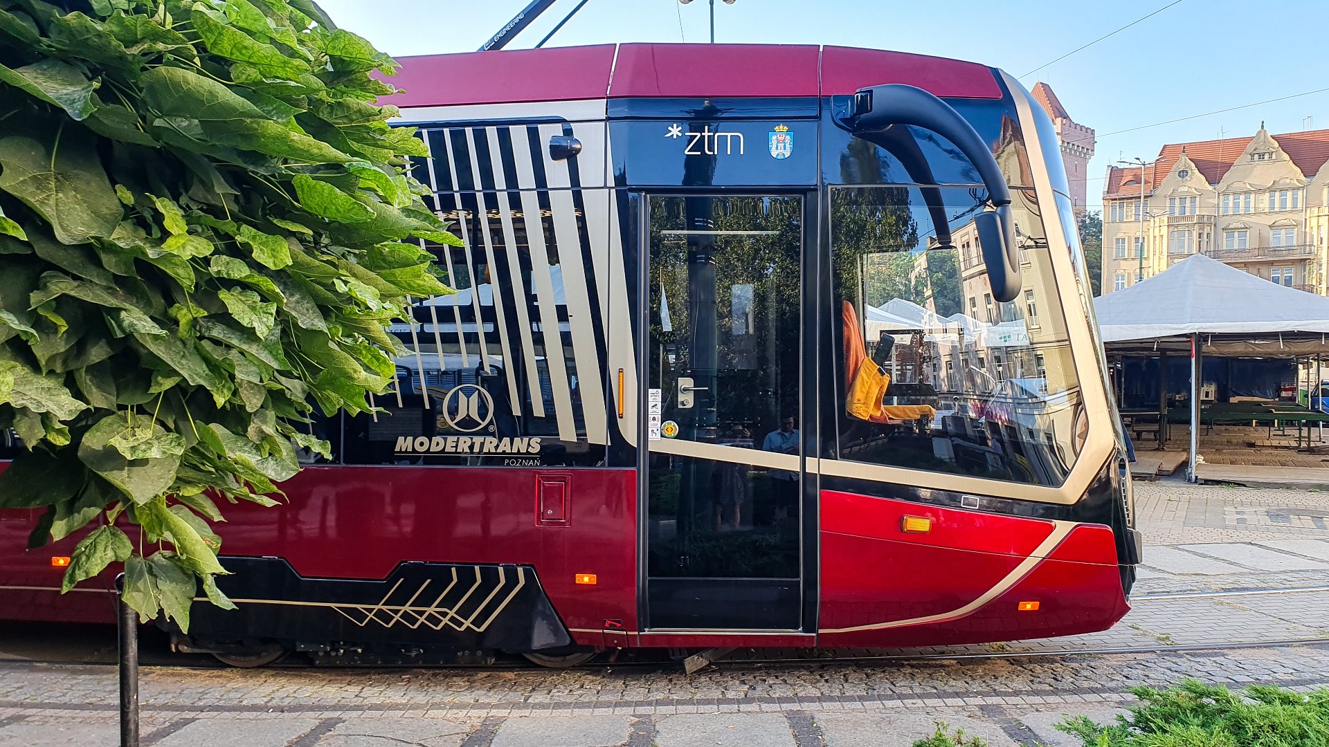 Na zdjęciu czerwony tramwaj, na pierwszym planie drzewo - grafika rozmowy