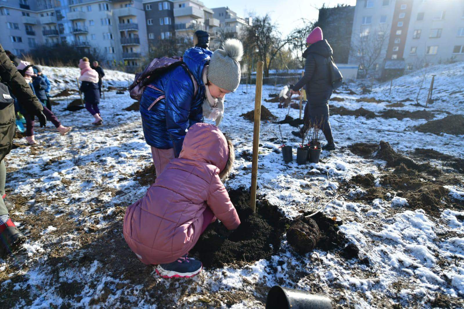 Galeria zdjęć z sadzenia sadu miejskiego - grafika rozmowy