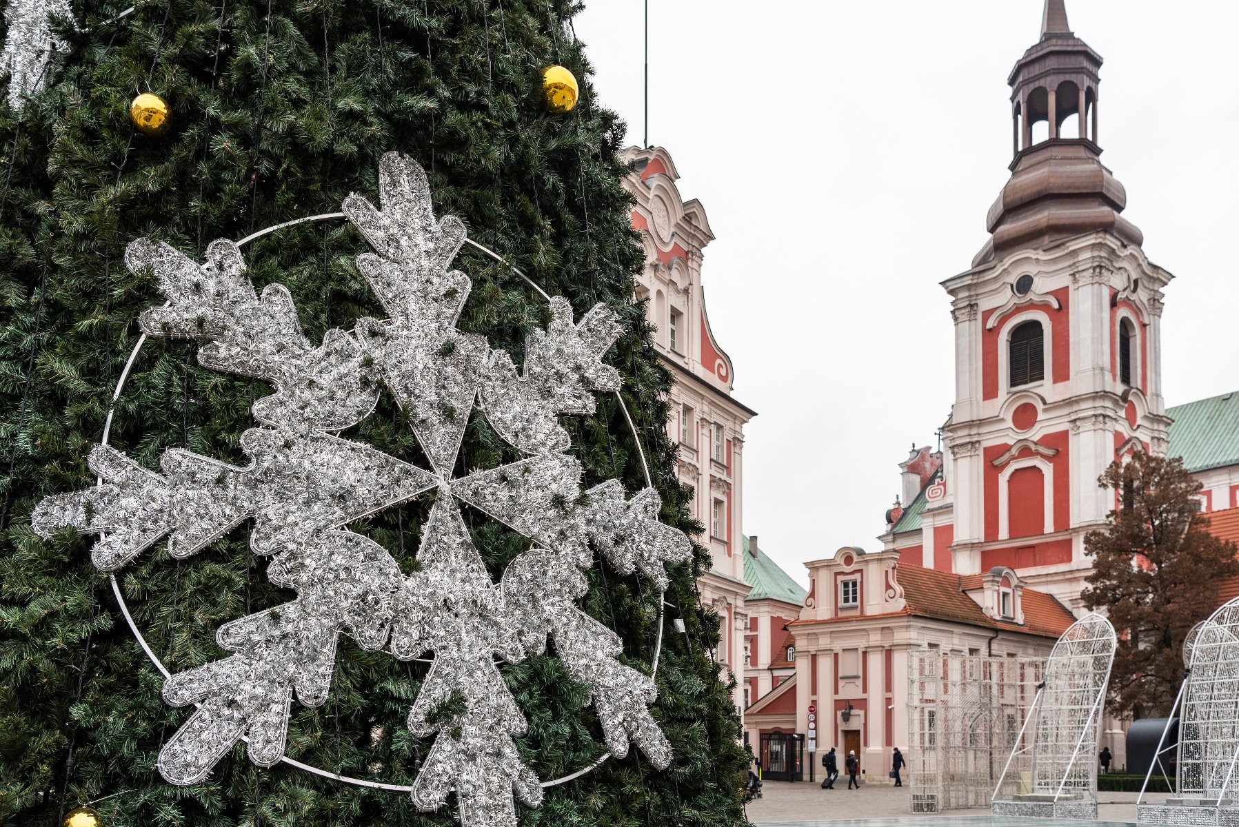 Na zdjęciu miejska choinka, w tle budynek urzędu na placu Kolegiackim - grafika rozmowy