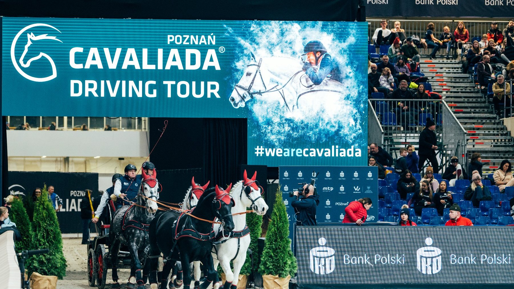 Na zdjęciu Cavaliada, widać zaprzęg konny wjeżdżający na arenę