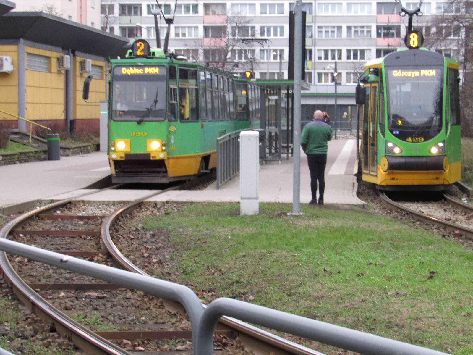 Zdjęcie tramwajów stojących na pętli Ogrody - grafika rozmowy