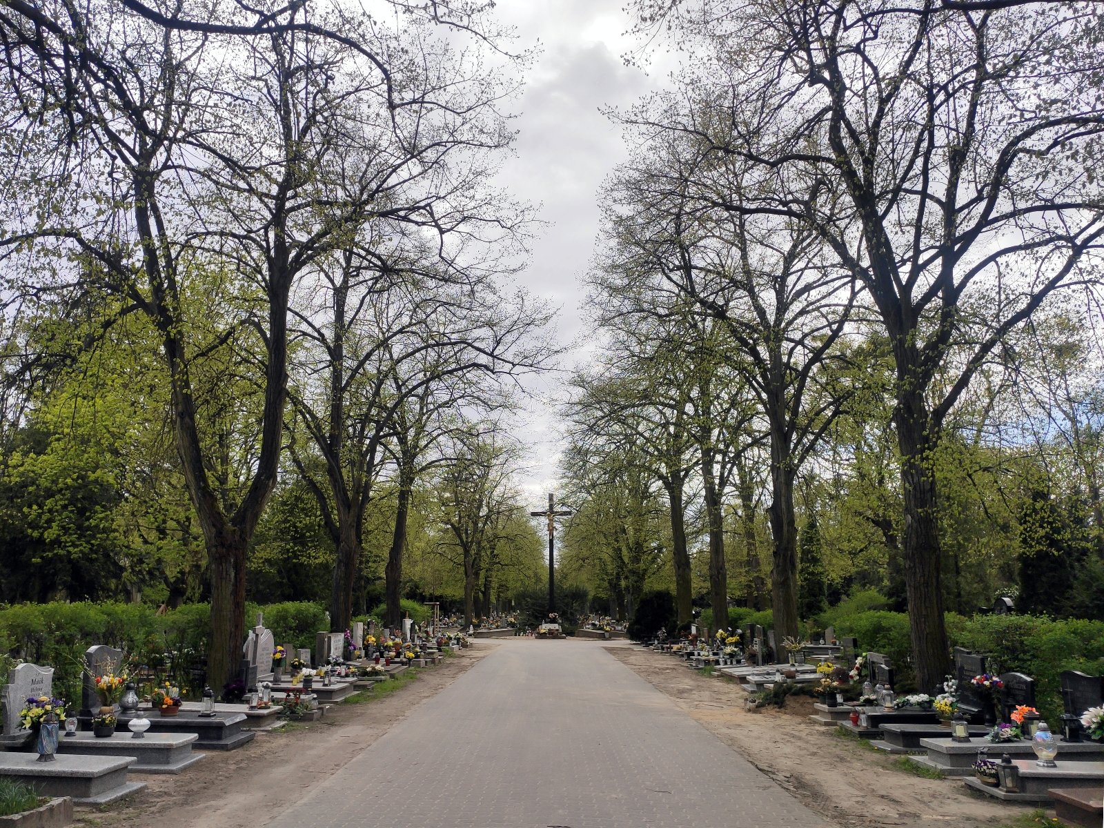 Galeria zdjęć przedstawia Cmentarz Górczyński. Na fotografiach widać aleję, wzdłuż niej drzewa i nagrobki. - grafika rozmowy