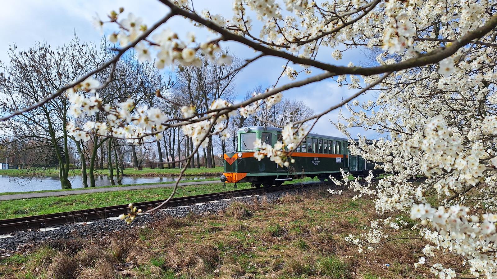 Na zdjęciu widoczne gałęzie z białymi kwiatami w tle wagon nazywany ryjkiem - grafika rozmowy