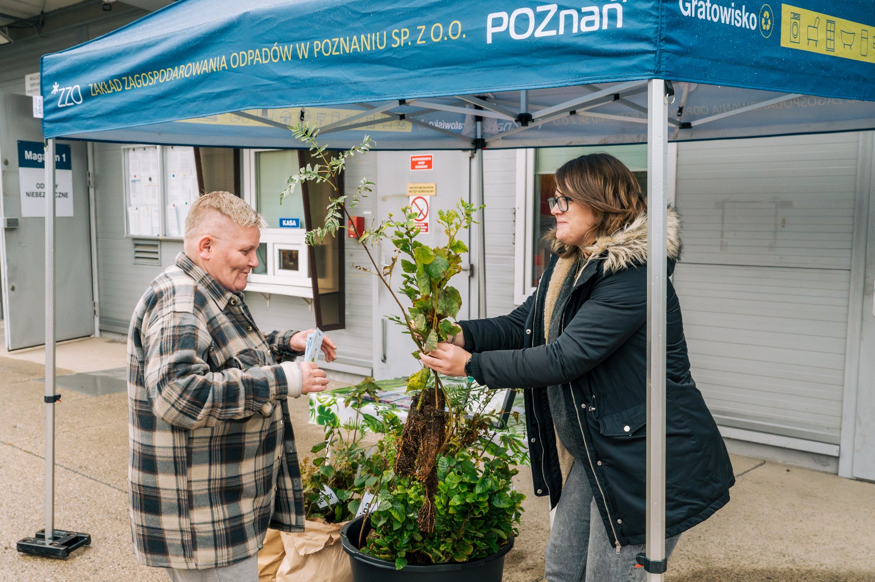 Na zdjęciu kobieta wręczająca sadzonkę osobie, która przyniosła odpady na Gratowisko - grafika rozmowy