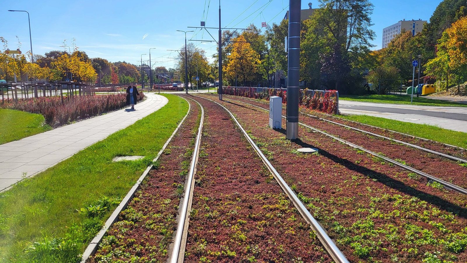 Na zdjęciu zielone torowisko tramwajowe na Naramowicach, chodnikiem spaceruje kobieta