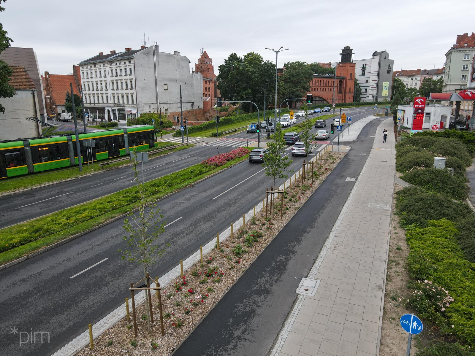 Galeria zdjęć przedstawia zieleń przy nowej drodze rowerowej na Starym Mieście. - grafika rozmowy