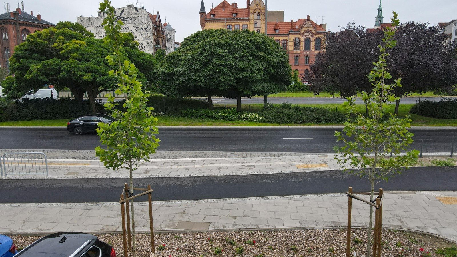 Galeria zdjęć przedstawia zieleń przy nowej drodze rowerowej na Starym Mieście.