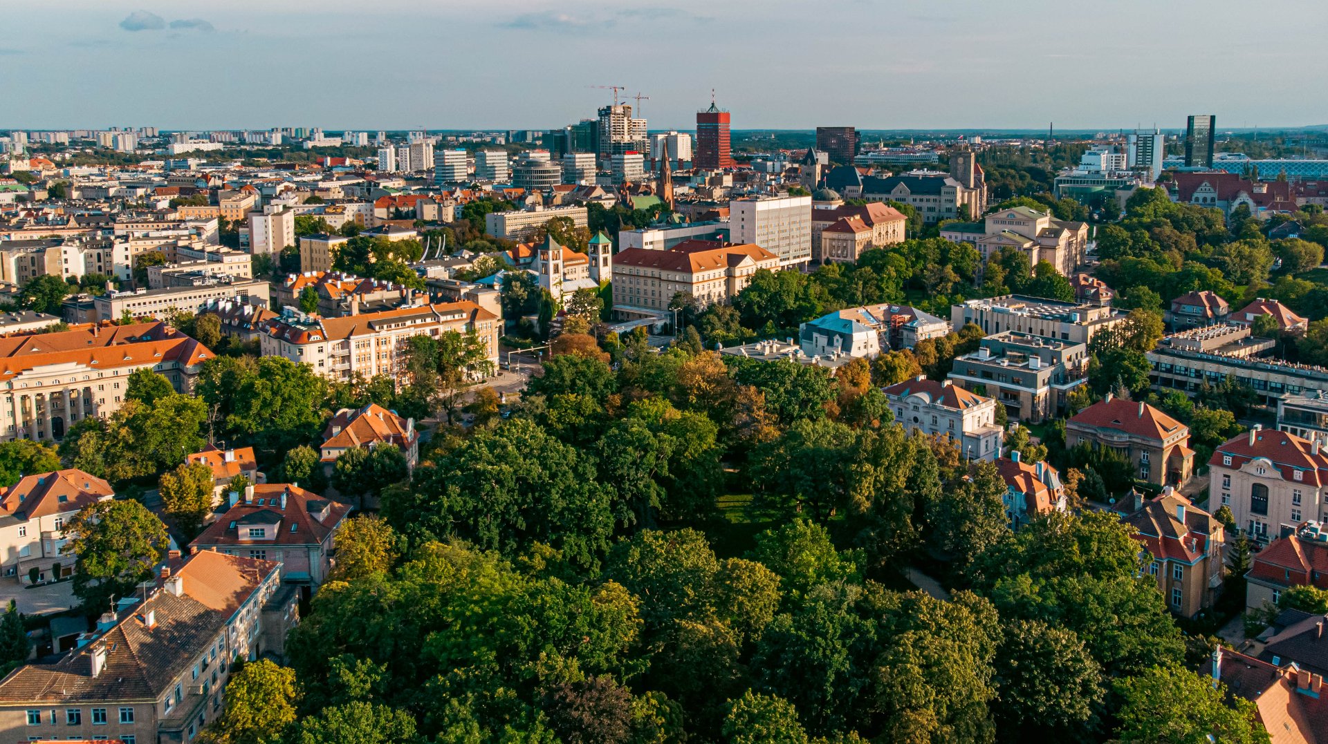 Na zdjęciu panorama Poznania z lotu ptaka, na pierwszym planie drzewa, w tle wysokie budynki - grafika rozmowy