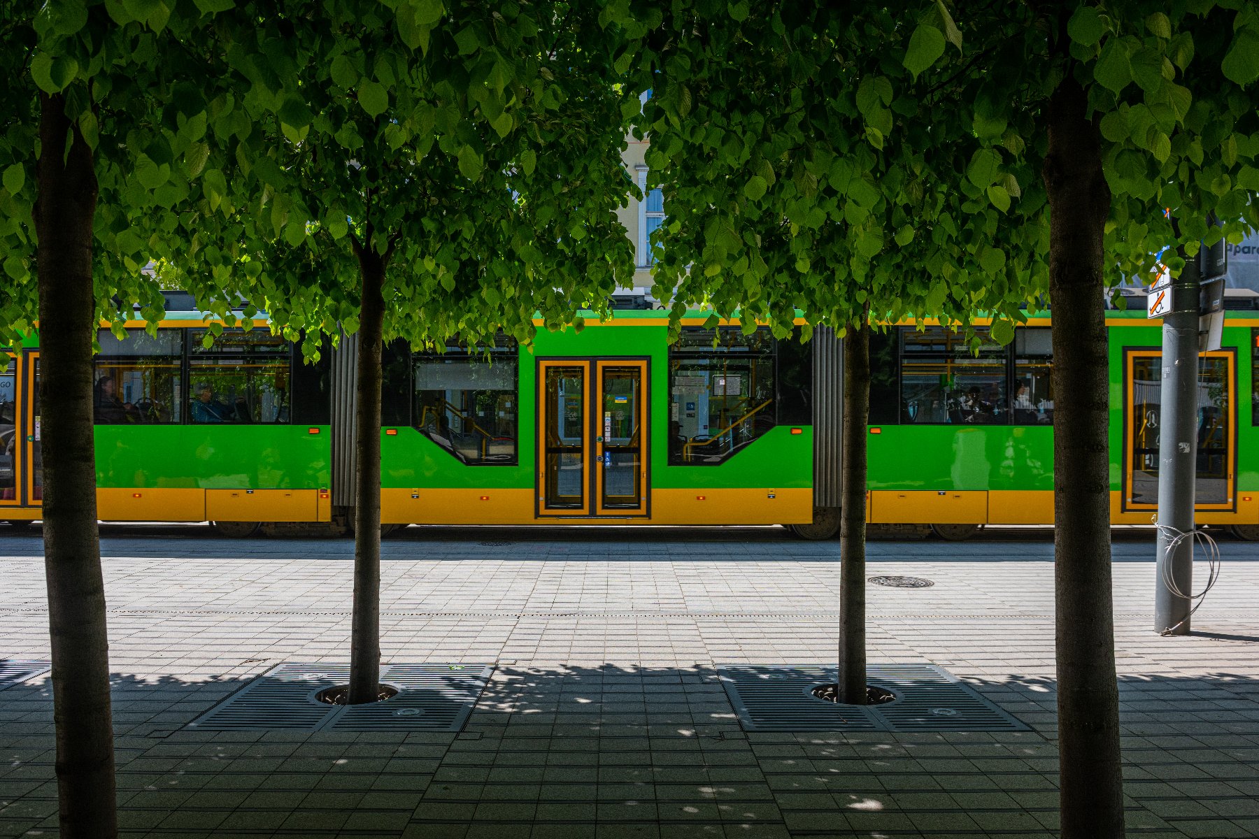 Zielono-żółty tramwaj na ul. Św. Marcin widoczny zza zielonych drzew - grafika rozmowy