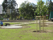 Pierwsze nasadzenia na skwerze wewnątrz pętli na Ogrodach