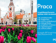 Praca w urzędzie czeka