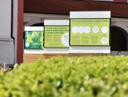 Zielona wystawa na Wolnym Dziedzińcu