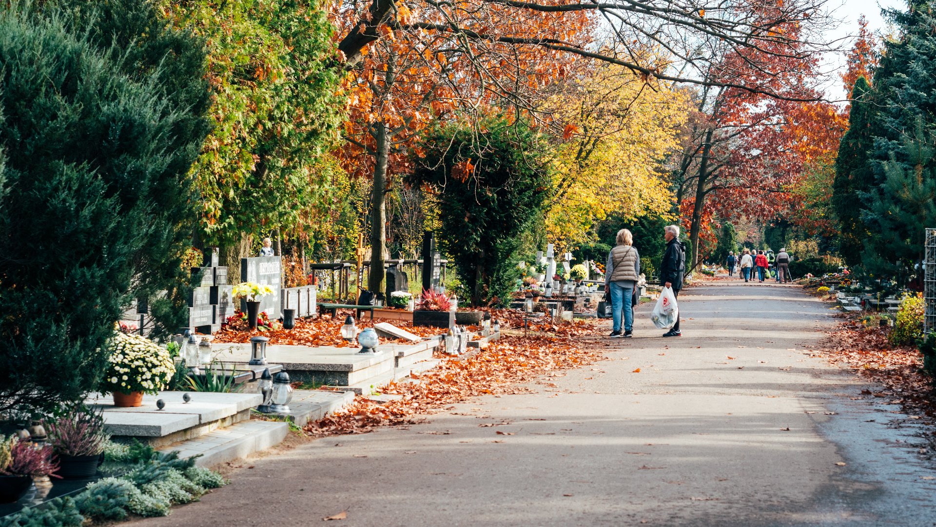 Zdjęcie przedstawia cmentarz. Widać na nim gorby, ludzi stojących przed grobami lub spacerujących pomiędzy alejkami. Są też drzewa. Na ziemi leżą liście.